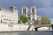 Notre Dame de Paris et petit pont