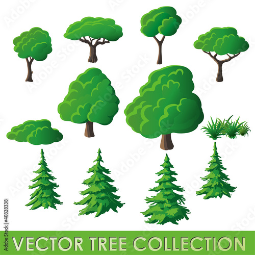 Vector: Vector Tree Collection Vector Tree Collection