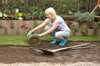 Foto: Rollrasen legen Rollrasen legen