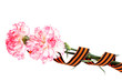 carnations and St. George