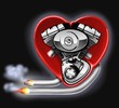 Photo en ligne au meilleur prix cuore vtwin 5