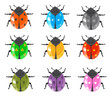 Ladybug insect glossy icon set