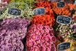 Photo: Markt Markt
