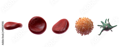 Illustration: Blutbahn mit Erythrozyten (rote Blutkörperchen) Blutbahn mit Erythrozyten (rote Blutkörperchen)