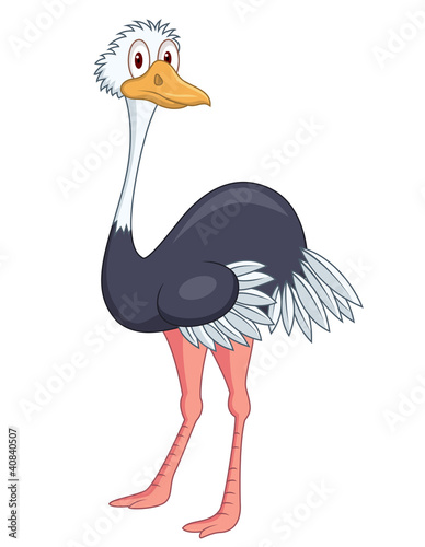 Cartoon Baby Ostrich
