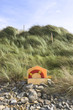 lifebuoy on rocky beale beach