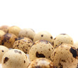 quail eggs in their plastic packaging quail eggs in their plastic packaging