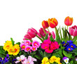 Foto: Frühling Garten Blumen Hintergrund Frühling Garten Blumen Hintergrund