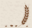 Ear of wheat in the grange background