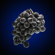 Grapes with bubbles on a blue gradient background