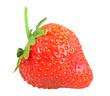 Single fresh red strawberry
