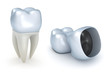Dental crowns and tooth, isolated on white