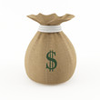 Money bag