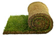 Foto: Rollrasen Rollrasen