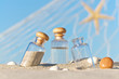 Sommerferien, Strandurlaub, Muscheln, Urlaubserinnerungen