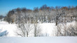 April blue sky in beautiful park April blue sky in beautiful park