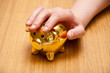 woman takes her piggy bank