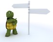 tortoise with sign post