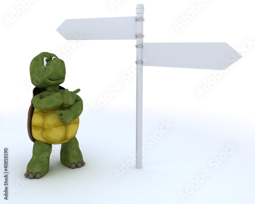 Illustration: tortoise with sign post tortoise with sign post