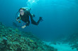 Foto: Happy scuba diver Happy scuba diver