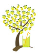 albero di limoni