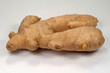 Ingwer - Zingiber officinale