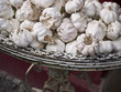 Knoblauch