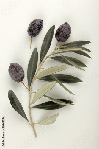 Photo: olive olive