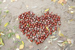 Chestnut heart on the sand