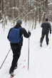 Active and healthy way of life (skiing)