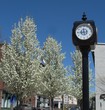 Photo: Town Square, Auburn Maine, USA Town Square, Auburn Maine, USA