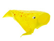 Golden fish origami