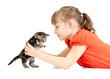 Girl lying with British kitten isolated on white Girl lying with British kitten isolated on white