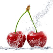 ciliege splash