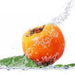 caco splash