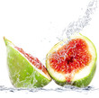 fico splash