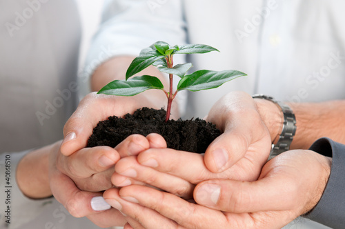Photo: Business growth Business growth