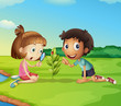 young explorers