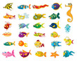 fishy