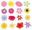 flowers flowers