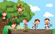 Monkeys in a park