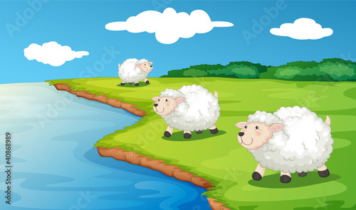 Vektor: Sheep Sheep