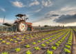 hdr feld