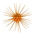 Abstract star