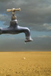 Photo: Drought Drought