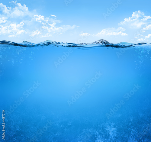 Photo: underwater scene underwater scene