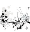 Floral design Floral design