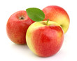 Ripe apples