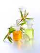 Erfrischende Naturkosmetik - Essenzen und Öle
