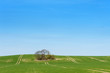 Felder in der Mark Brandenburg im Frühling